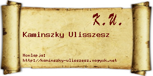 Kaminszky Ulisszesz névjegykártya